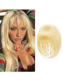 Breton cu Calota Blond Deschis Auriu 22